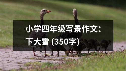 小學(xué)四年級(jí)寫景作文：下大雪 (350字)
