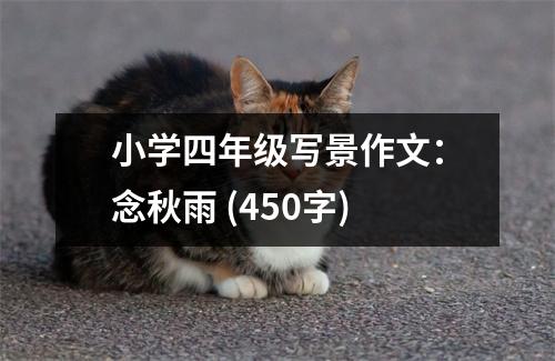 小學(xué)四年級(jí)寫景作文：念秋雨 (450字)