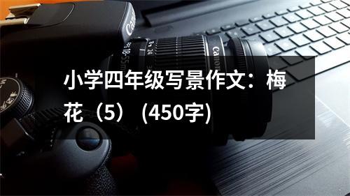 小學(xué)四年級寫景作文：梅花（5） (450字)
