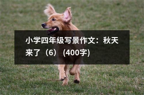 小學(xué)四年級寫景作文：秋天來了（6） (400字)