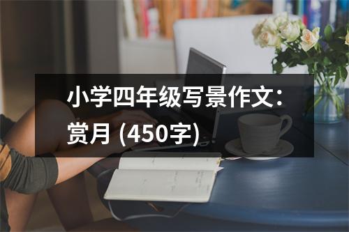 小學(xué)四年級(jí)寫景作文：賞月 (450字)