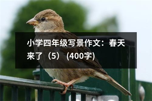 小學(xué)四年級寫景作文：春天來了（5） (400字)