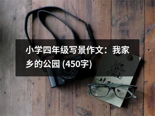 小學四年級寫景作文：我家鄉(xiāng)的公園 (450字)