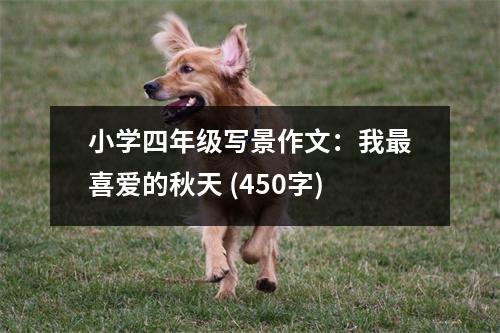 小學四年級寫景作文：我最喜愛的秋天 (450字)