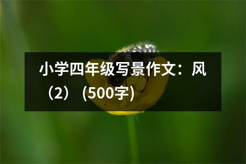 小學四年級寫景作文：風（2） (500字)