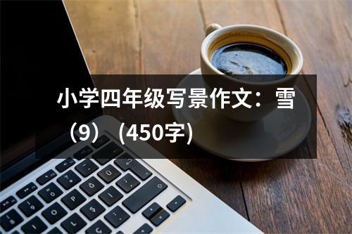 小學(xué)四年級(jí)寫(xiě)景作文：雪（9） (450字)