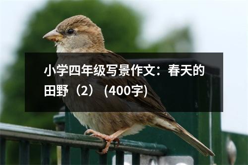 小學(xué)四年級(jí)寫(xiě)景作文：春天的田野（2） (400字)
