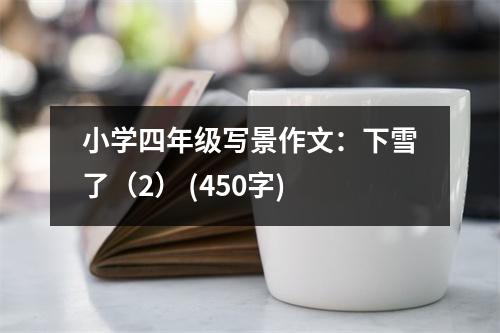 小學(xué)四年級(jí)寫景作文：下雪了（2） (450字)