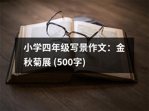 小學(xué)四年級(jí)寫景作文：金秋菊展 (500字)