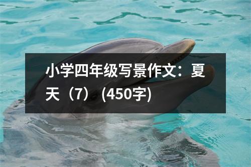 小學(xué)四年級寫景作文：夏天（7） (450字)