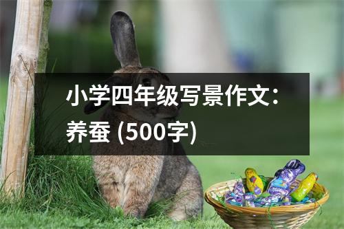 小學(xué)四年級寫景作文：養(yǎng)蠶 (500字)