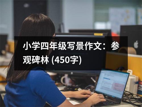 小學(xué)四年級(jí)寫(xiě)景作文：參觀碑林 (450字)