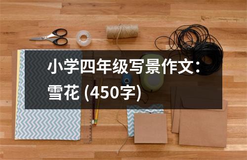 小學四年級寫景作文：雪花 (450字)