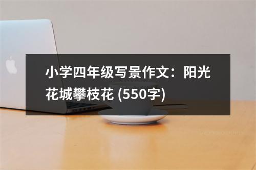 小學四年級寫景作文：陽光花城攀枝花 (550字)