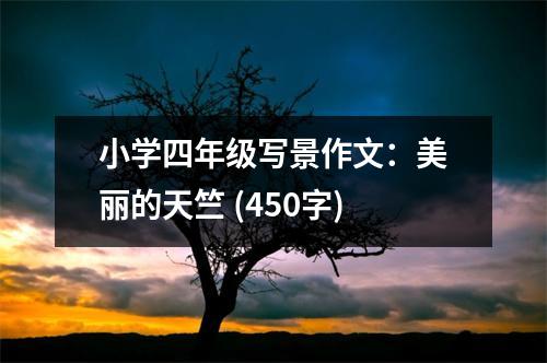 小學四年級寫景作文：美麗的天竺 (450字)