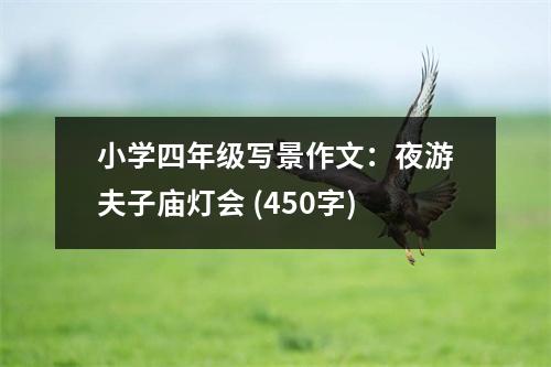 小學(xué)四年級(jí)寫(xiě)景作文：夜游夫子廟燈會(huì) (450字)