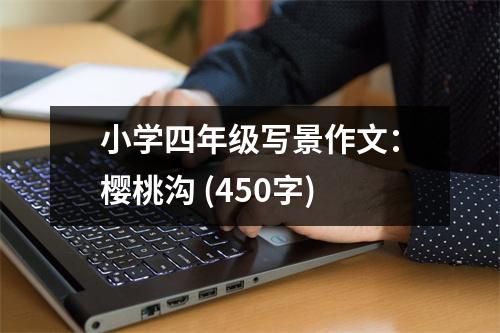 小學(xué)四年級(jí)寫景作文：櫻桃溝 (450字)