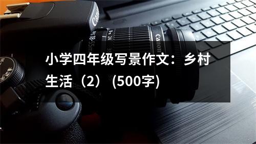 小學(xué)四年級寫景作文：鄉(xiāng)村生活（2） (500字)