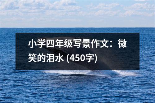 小學(xué)四年級寫景作文：微笑的淚水 (450字)