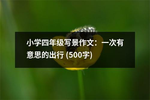 小學(xué)四年級寫景作文：一次有意思的出行 (500字)