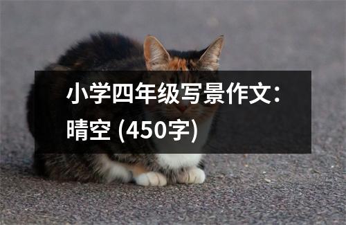 小學(xué)四年級(jí)寫(xiě)景作文：晴空 (450字)