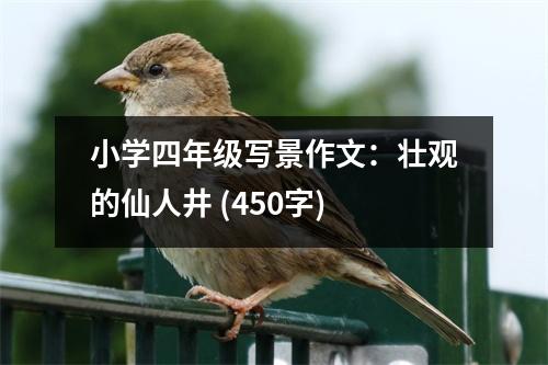 小學(xué)四年級(jí)寫景作文：壯觀的仙人井 (450字)