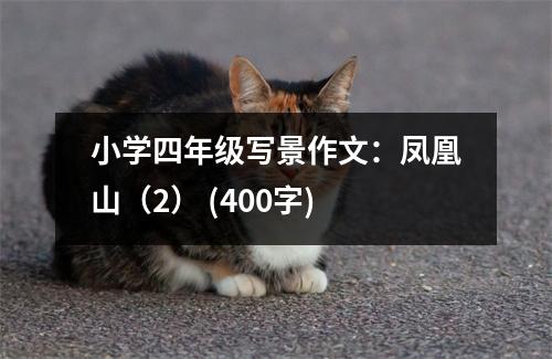 小學(xué)四年級(jí)寫(xiě)景作文：鳳凰山（2） (400字)