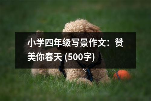 小學(xué)四年級(jí)寫(xiě)景作文：贊美你春天 (500字)