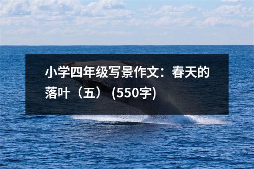 小學(xué)四年級(jí)寫(xiě)景作文：春天的落葉（五） (550字)