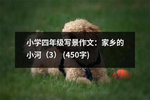 小學(xué)四年級(jí)寫(xiě)景作文：家鄉(xiāng)的小河（3） (450字)