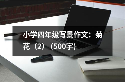 小學(xué)四年級寫景作文：菊花（2） (500字)