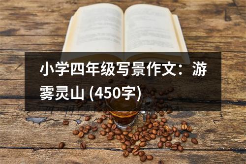 小學(xué)四年級寫景作文：游霧靈山 (450字)