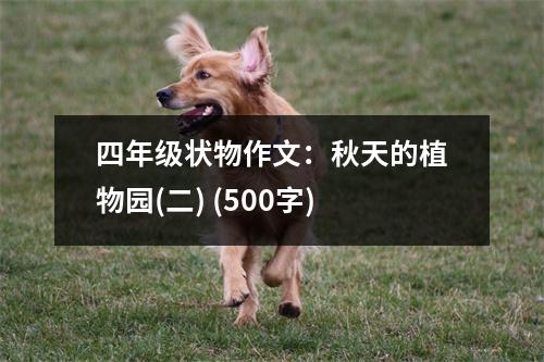 四年級狀物作文：秋天的植物園(二) (500字)