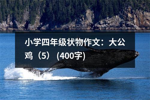 小學(xué)四年級(jí)狀物作文：大公雞（5） (400字)