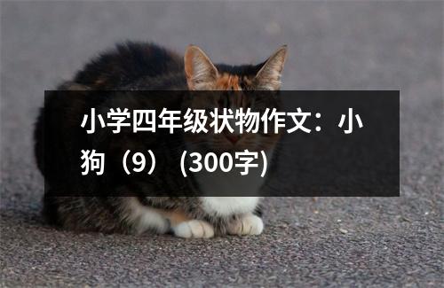 小學(xué)四年級狀物作文：小狗（9） (300字)