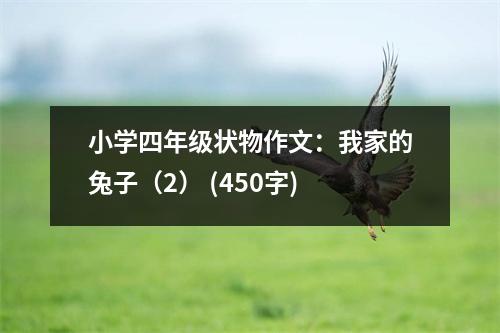 小學四年級狀物作文：我家的兔子（2） (450字)