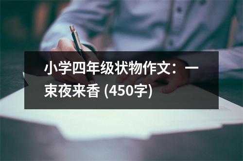 小學(xué)四年級(jí)狀物作文：一束夜來香 (450字)