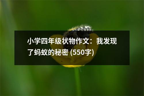 小學(xué)四年級(jí)狀物作文：我發(fā)現(xiàn)了螞蟻的秘密 (550字)