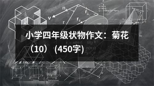 小學四年級狀物作文：菊花（10） (450字)