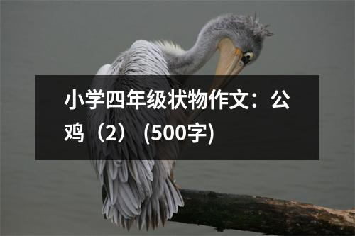 小學(xué)四年級狀物作文：公雞（2） (500字)
