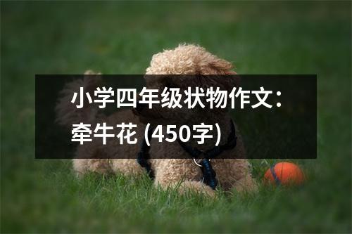 小學(xué)四年級狀物作文：牽?；?(450字)