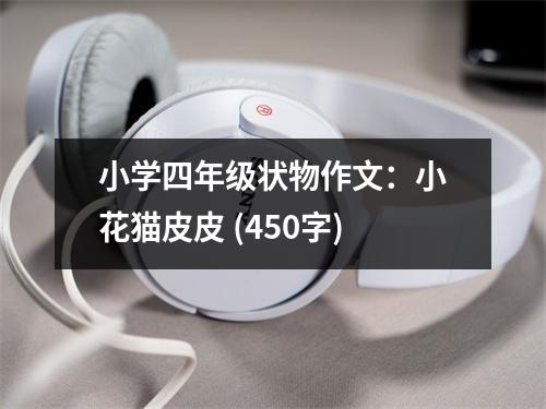 小學(xué)四年級(jí)狀物作文：小花貓皮皮 (450字)