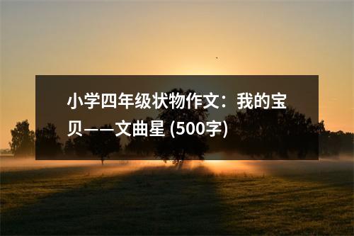 小學(xué)四年級(jí)狀物作文：我的寶貝——文曲星 (500字)