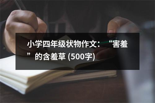 小學(xué)四年級(jí)狀物作文：“害羞”的含羞草 (500字)