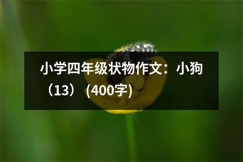 小學(xué)四年級狀物作文：小狗（13） (400字)