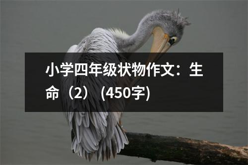 小學四年級狀物作文：生命（2） (450字)