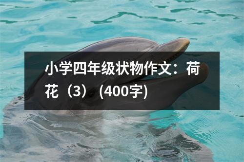 小學(xué)四年級狀物作文：荷花（3） (400字)