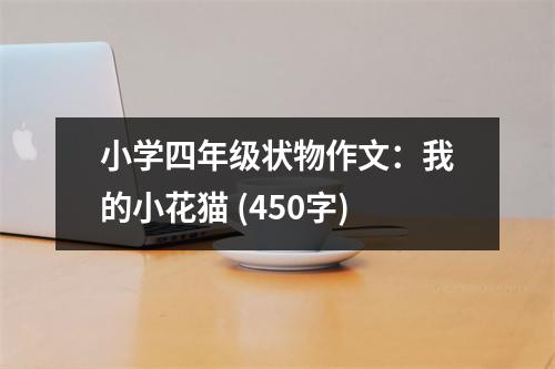 小學(xué)四年級狀物作文：我的小花貓 (450字)