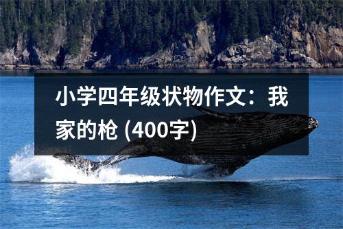 小學(xué)四年級狀物作文：我家的槍 (400字)