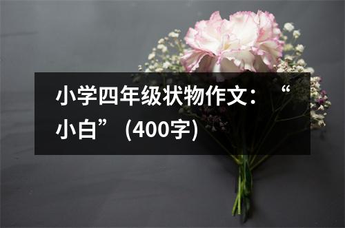 小學四年級狀物作文：“小白” (400字)